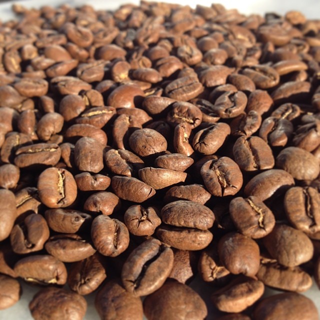 Flavor fragrant Larez Yaoke Coffee Variety characteristics introduction of Fine Coffee beans in Manor