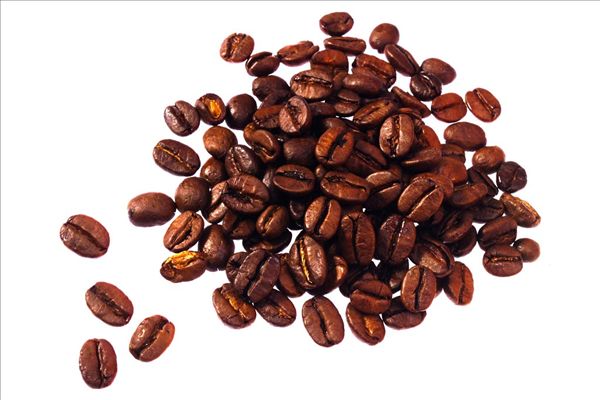 Taste characteristics of fermented thick civet coffee varieties introduction to the flavor of fine coffee beans in the manor