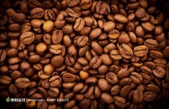 Overall rich flavor Bolivian coffee varieties taste characteristics manor boutique coffee bean flavor introduction