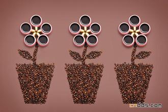 Special hard beans Coffee Flavor of Saint Roman Manor in Costa Rica describes the price characteristics of varieties in producing areas