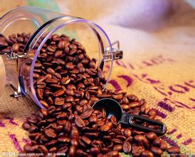 Introduction to the method of describing the Flavor of Bolivian Snow vein Manor Coffee with Citrus Fruit