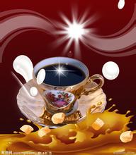 What kind of coffee beans do you need to make coffee?