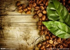 Description of Flavor of Brazilian Hillado Yellow bourbon Coffee beans introduction to manors in producing areas