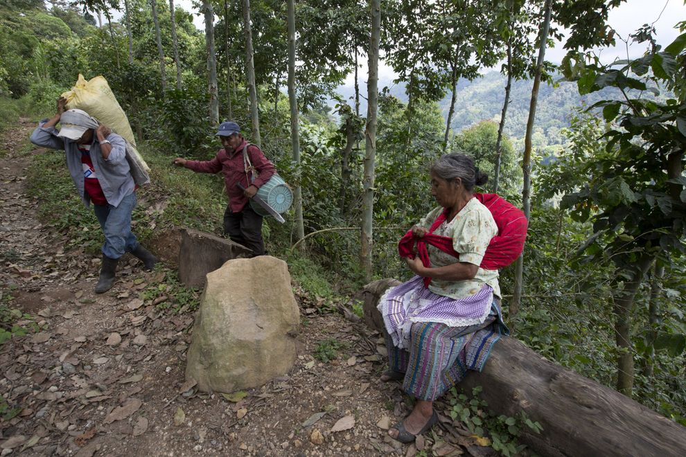 瓜地馬拉的咖啡農Luis Manuel Antonio（最左）的小農場遭到咖啡鏽肆虐。咖啡歉收已經為他和他的妻子帶來了壓力與焦慮。其他地區則有收入減少導致兒童營養不良個案增加的情形。 PHOTOGRAPH BY JANET JARMAN