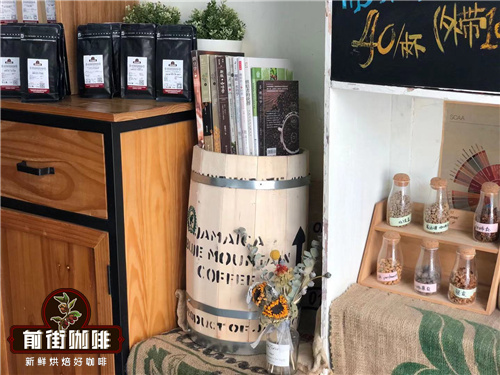 Qianjie Yunnan Coffee planting Story Yunnan small Coffee Bean Variety Katim Coffee Bean flavor
